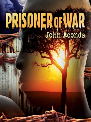 cover image of Prisoner of War